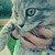 :iconloveinphotography: