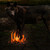 :iconlovelblackwolf: