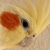 :iconloveleaksout: