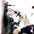 :iconlovelessalois: