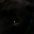 :iconlovelessbind: