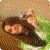 :iconlovelightburnn: