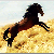 :iconlovelullaby: