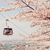 :iconlovely-chan69: