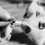 :iconlovely00e: