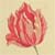 :iconlovelyaffinities: