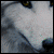 :iconlovelyandjinxed: