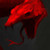 :iconlovelybr: