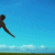 :iconlovelycooldesigns: