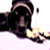 :iconlovelycreature6: