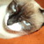LovelyGlamour :iconlovelyglamour: