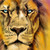 :iconlovelykarthi:
