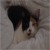 :iconlovelynight:
