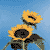 :iconlovemints: