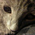 :iconlovemjjeje: