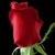 :iconlovepeace123: