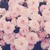 :iconlovepineapple: