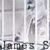 :iconlover-not-fighter: