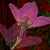 :iconloverhusband: