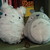 :iconlovermochii: