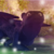 :iconloverofallanimal1234: