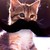 LoverOfMustashes :iconloverofmustashes: