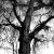 :iconloverofphotography: