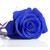 :iconloverose28: