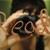 :iconloves-lovely-london: