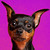 :iconlovesbunnys: