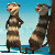 :iconlovesfunnymovies: