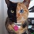 LoveshinePlaying :iconloveshineplaying: