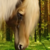 :iconlovesisco: