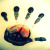 :iconloveslife88: