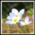 :iconlovestruck-0: