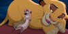 :iconlovethelionking: