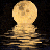 :iconlovethewords: