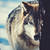 :iconlovethinekeys: