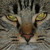 :iconlovetobehere: