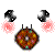 :iconloveydoveyddr: