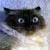 :iconloveylynne: