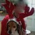 :iconlovingbelle: