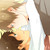 :iconlovino-varg-ass: