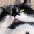Lovli-Mo :iconlovli-mo: