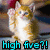 :iconlovonbrokenglass: