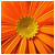 :iconlovuhemant: