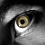 :iconlow-sun: