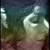 :iconlowspirit79: