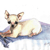 :iconloyalsamwise: