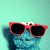 :iconloz1337: